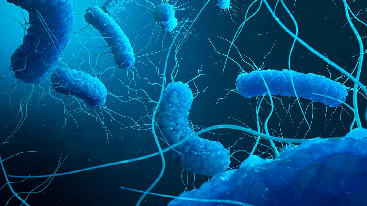 formación legionella formación legionella