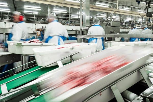 food-hygiene-and-disinfection Food hygiene and disinfection